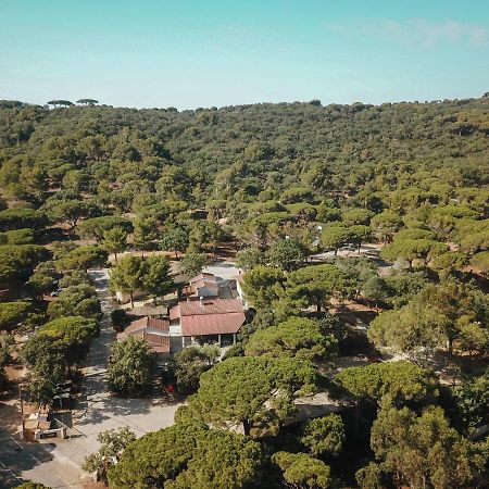 Camping Ladouceur Ramatuelle Luaran gambar