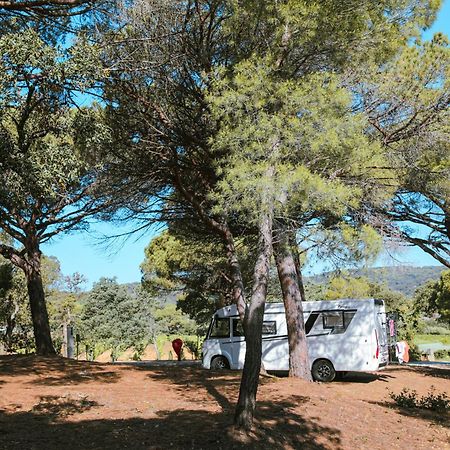 Camping Ladouceur Ramatuelle Luaran gambar