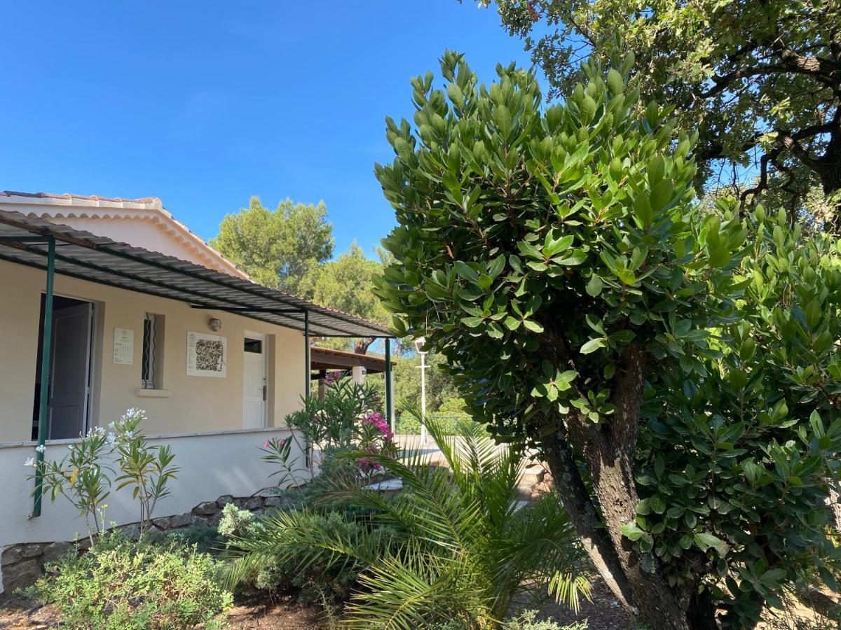 Camping Ladouceur Ramatuelle Luaran gambar