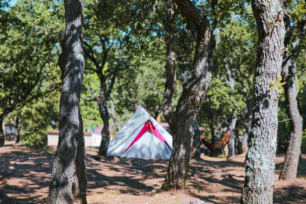 Camping Ladouceur Ramatuelle Luaran gambar