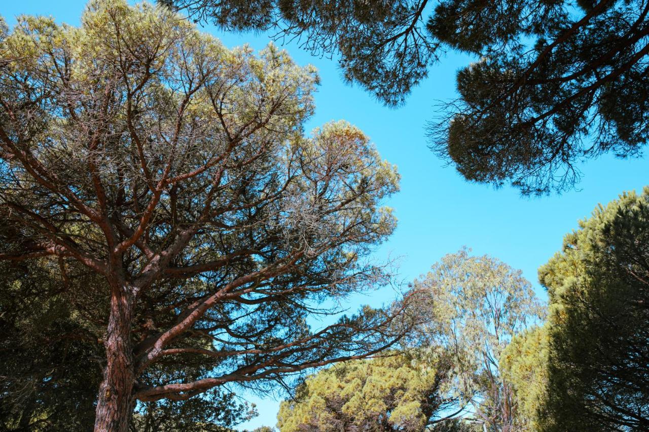 Camping Ladouceur Ramatuelle Luaran gambar
