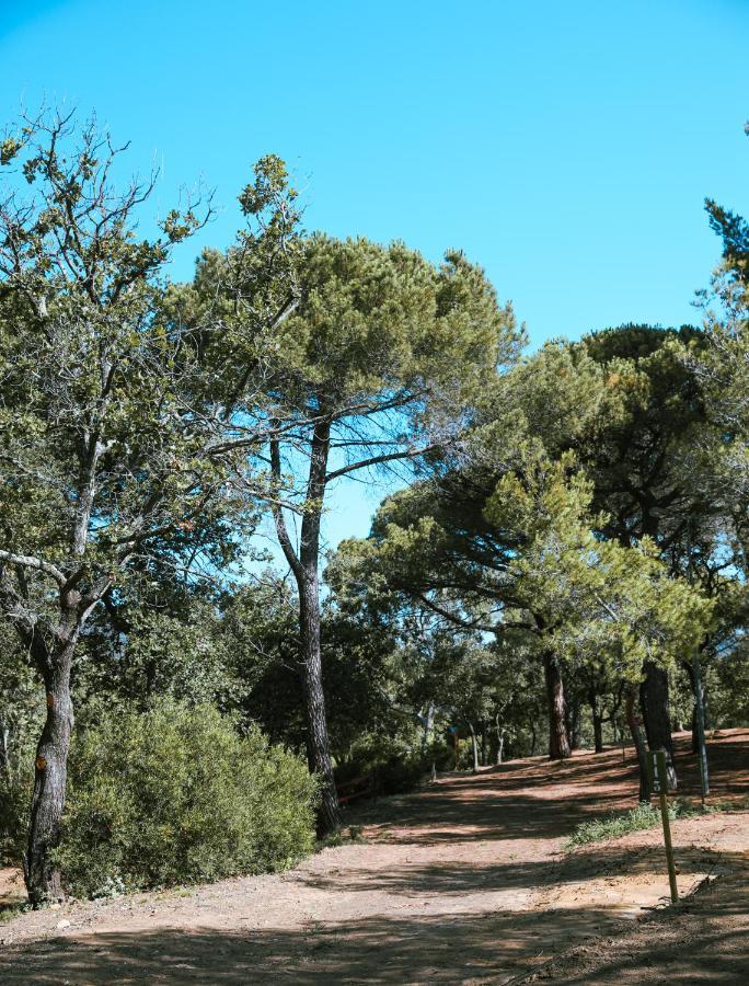 Camping Ladouceur Ramatuelle Luaran gambar