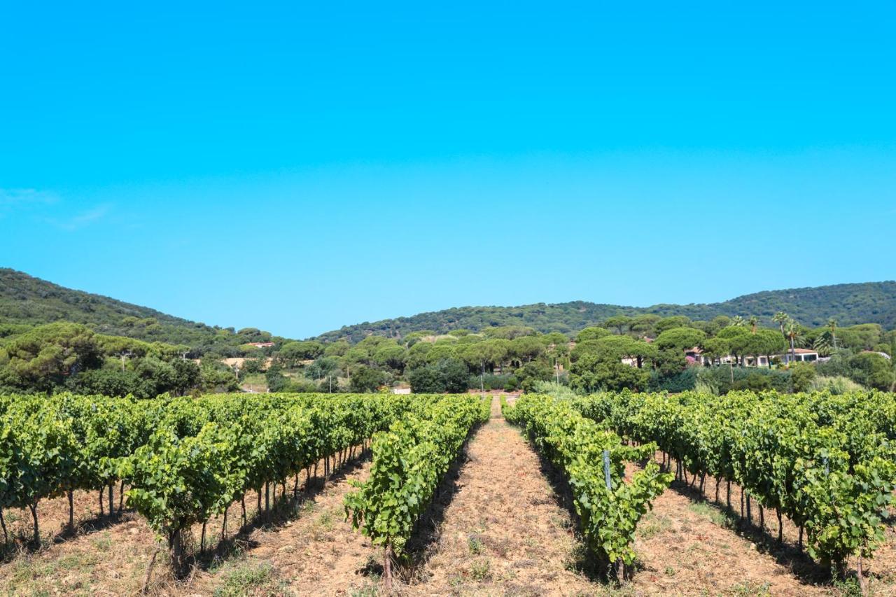 Camping Ladouceur Ramatuelle Luaran gambar