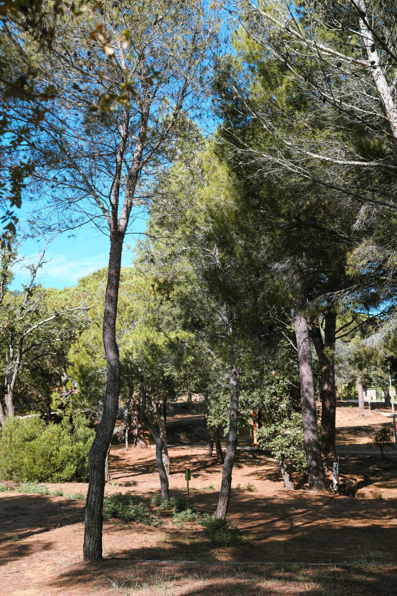 Camping Ladouceur Ramatuelle Luaran gambar